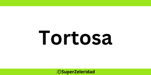 Teléfono oficina Zeleris Tortosa